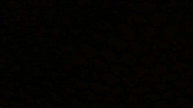 Gel Paint ( NOIR )   5ML